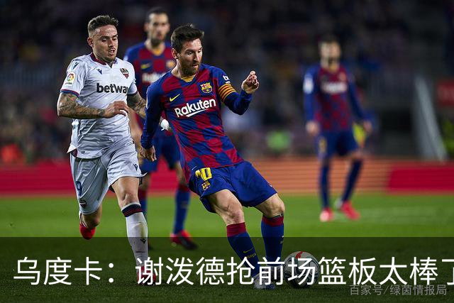 乌度卡：谢泼德抢前场篮板太棒了，我很喜欢