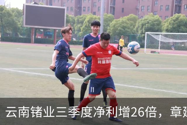云南锗业三季度净利增26倍，章建平无惧回调逆市增仓近300%