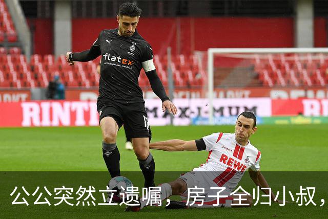 公公突然立遗嘱，房子全归小叔，我轻声说：我陪嫁的房子凭啥给你