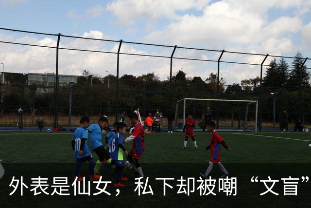 外表是仙女，私下却被嘲“文盲”的几位女星，孙俪伊能静让人意外