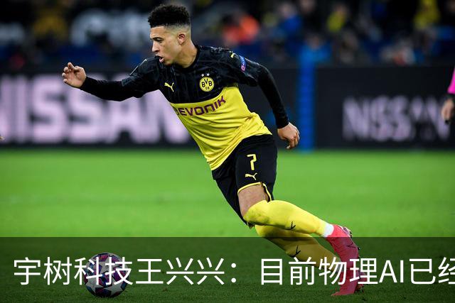 宇树科技王兴兴：目前物理AI已经看到被击穿的苗头