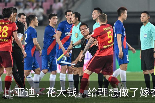 比亚迪，花大钱，给理想做了嫁衣
