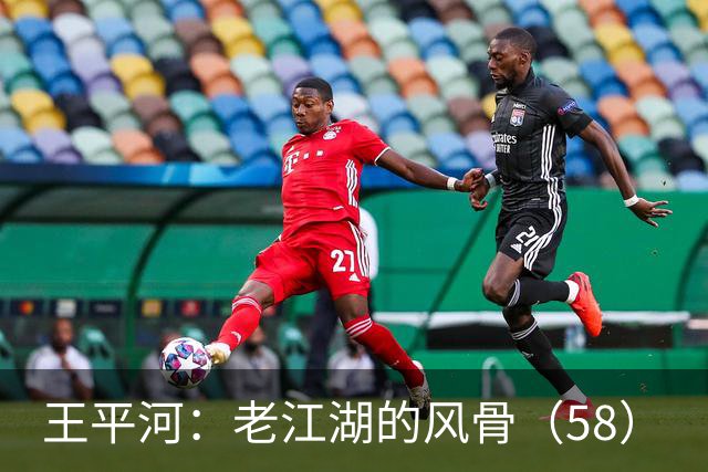 王平河：老江湖的风骨（5/8）