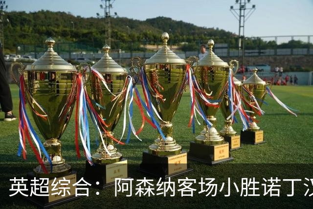 英超综合：阿森纳客场小胜诺丁汉森林