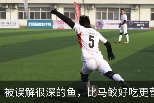 被误解很深的鱼，比马鲛好吃更营养，鱼肉似“千层糕”，我国独有