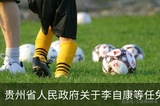 贵州省人民政府关于李自康等任免职的通知