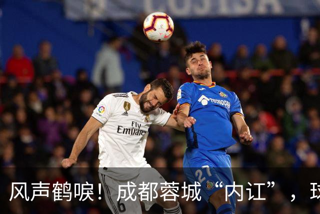 风声鹤唳！成都蓉城“内讧”，球迷担心刘殿座放水，另一人更危险
