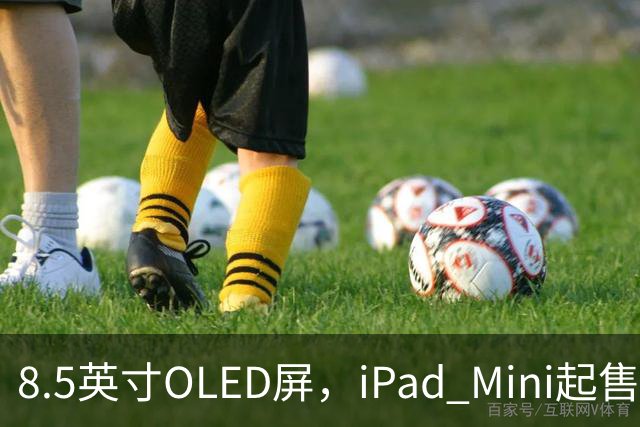 8.5英寸OLED屏，iPad Mini起售价涨到699美元