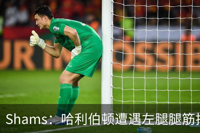 Shams：哈利伯顿遭遇左腿腿筋拉伤 将至少缺席两周